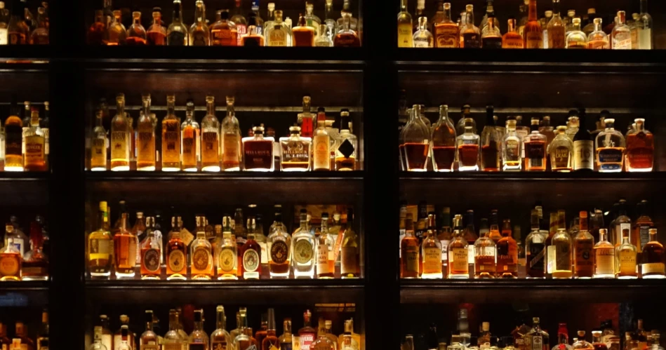 Mandrem Nightlife Guide: Best Beach Bars, Cafes & Evening Entertainment